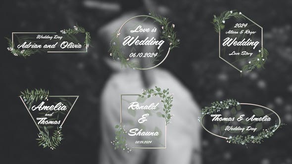 Videohive 50056986 Wedding Titles 4K