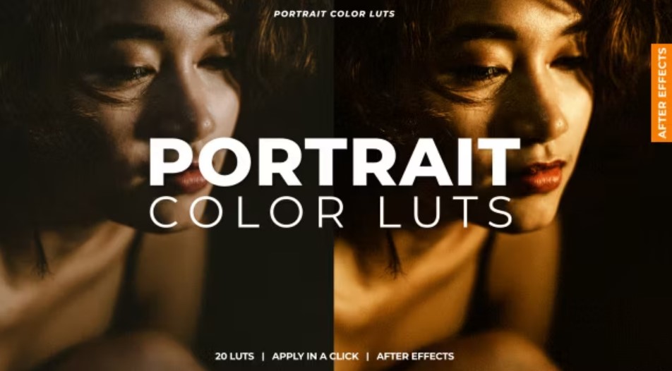 Portrait Color LUTs - 20 Stunning Presets for After Effects Brilliance