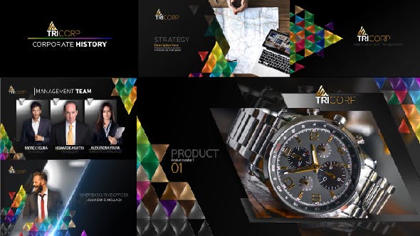 Videohive 21482481 3D Triangle Concept Corporate Profile