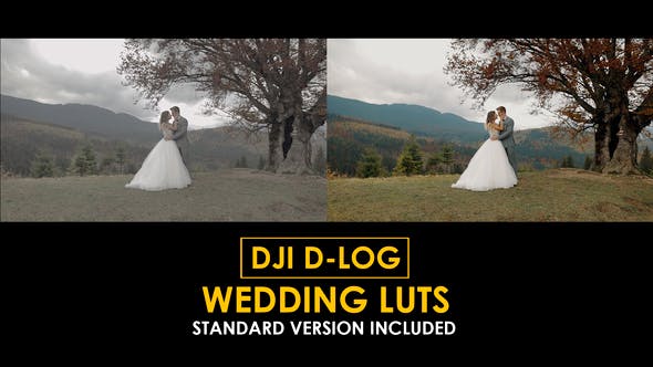 Videohive 50807784 DJI D-Log Wedding LUTs - GFXHive