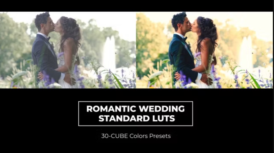 Cherish Every Moment: Romantic Wedding And Standard LUTs