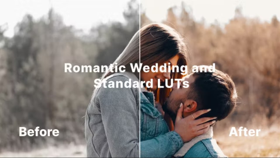 Elevate Your Visual Storytelling: Download 20 Romantic Wedding and Standard LUTs