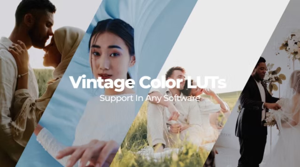 Unveiling the Magic: Elevate Your Creations with 20 Wedding LUTs