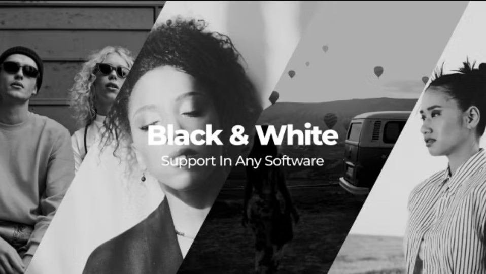 Elevate Your Visuals with 15 Black & White LUTs on GFXHive