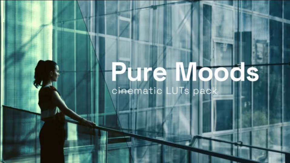 Ignite Your Visual Storytelling: Explore Our Pure Mood LUTs Collection!