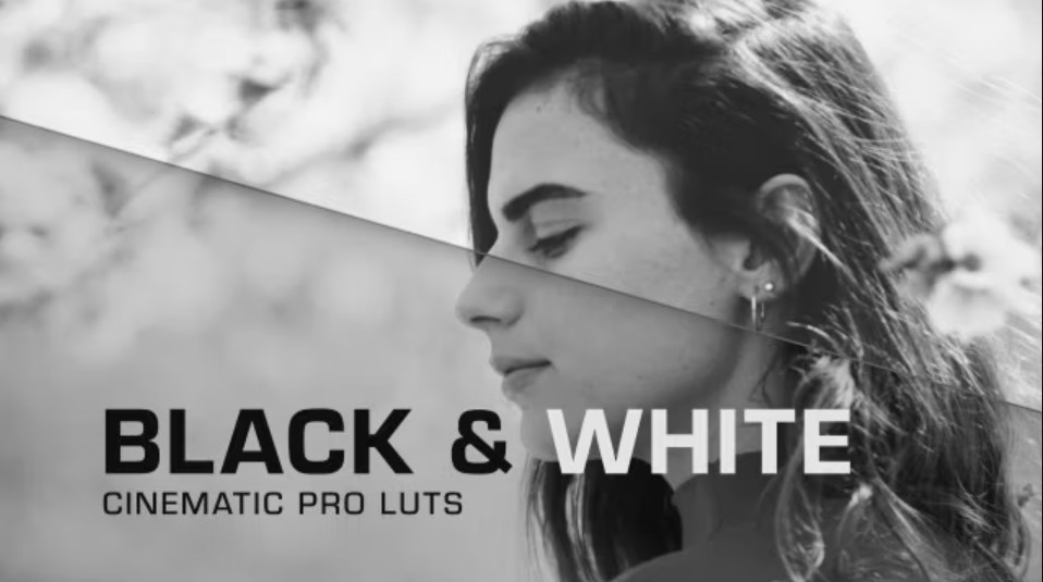 Transform Your Videos with Our Black & White Cinema LUTs!