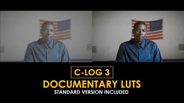 Videohive 50807712 Documentary Canon C-Log3 And Standard LUTs