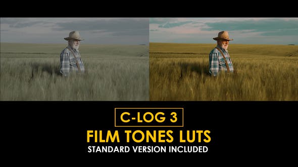 Unlock Creativity with Videohive 50807682 Film Tones Canon C-Log3 and Standard LUTs