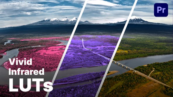 Elevate Your Video Editing: Explore Aerochrome Infrared LUTs