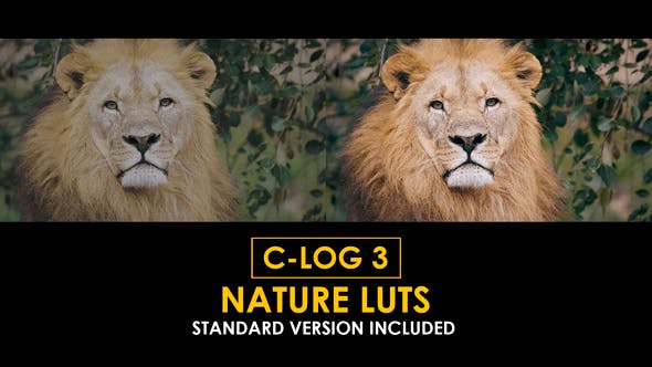 Videohive 50848403 Canon C-Log3 Nature and Standard LUTs