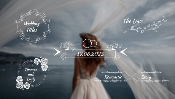 GFXHive Resources: Videohive 49483323 Minimal Wedding Titles