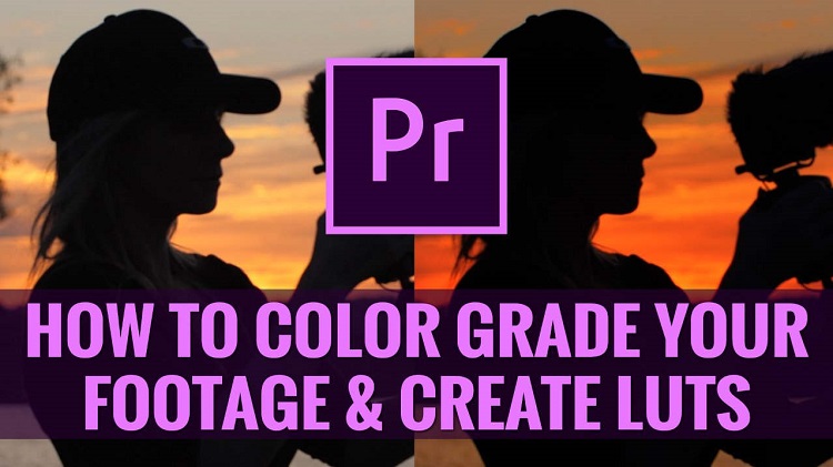 Unleash Your Creativity: Udemy Color Grading & LUTs Creation in Premiere Pro