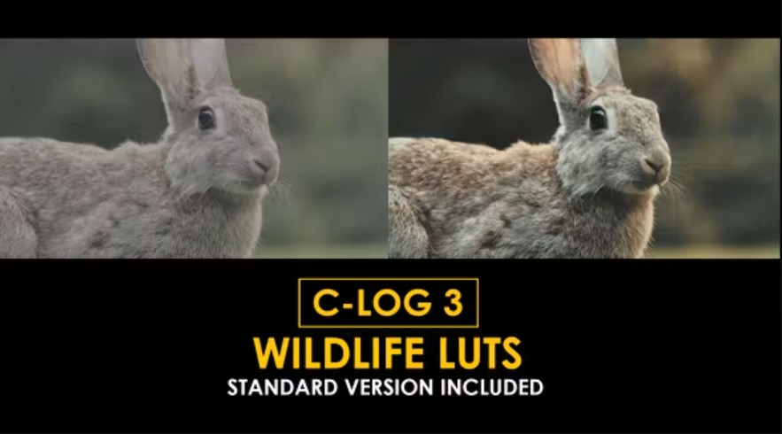 ree Videohive 50930916 C-Log3 Wildlife and Standard Color LUTs