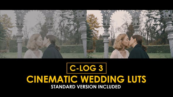 Videohive 50923724 C-Log3 Cinematic Wedding and Standard LUTs