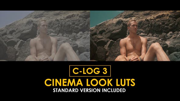 Videohive 50930792 C-Log3 Cinema Look and Standard Color LUTs