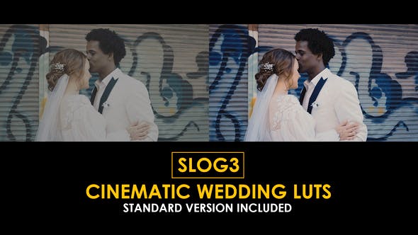 Videohive 51047618 Slog3 Cinematic Wedding and Standard Color LUTs