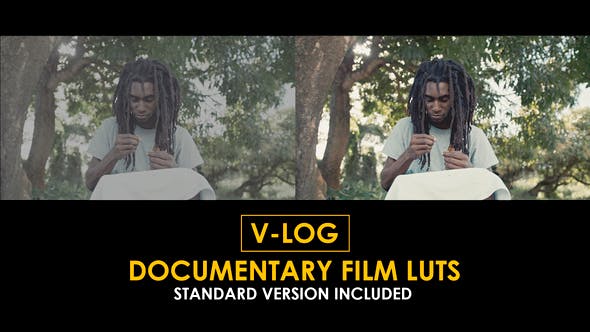 Videohive 51379205 V-Log Documentary Film and Standard Color LUTs