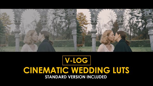 Videohive 51379297 V-Log Cinematic Wedding and Standard Color LUTs