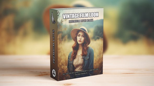 Vintage Kodak Film Look LUTs on GFXHive (Videohive 51542034)