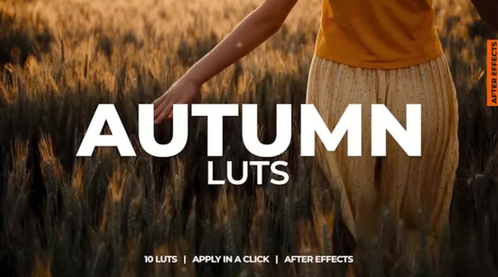 Autumn LUTs: Transform Your Videos with Fall Colors on GFXHive