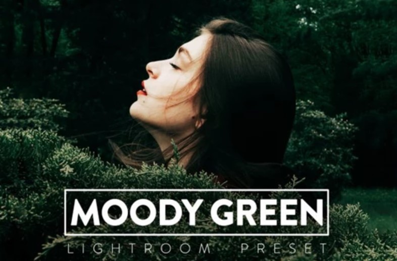 10 MOODY GREEN Lightroom Preset (LRTEMPLATE, XMP, DNG)