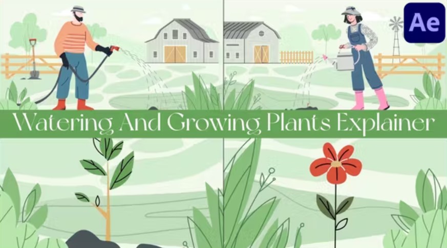 Videohive 52661621 Watering and Growing Plants Explainer for After Effects | GFXHive