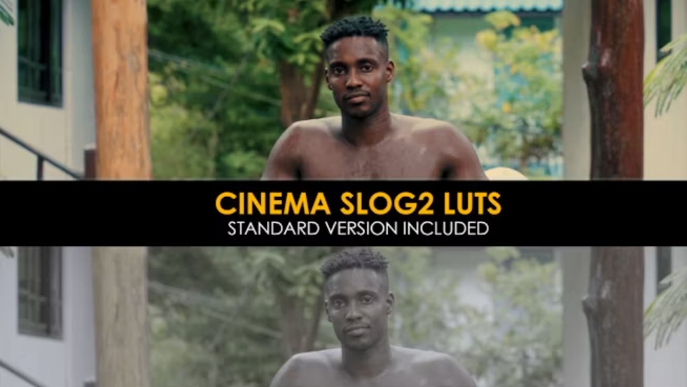 Cinema Slog2 And Standard LUTs