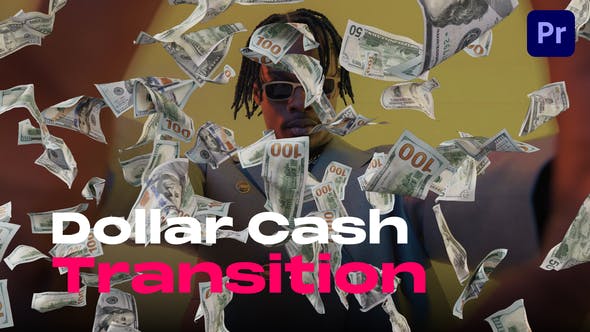 Access to Videohive 50173092 Dollar Cash Transitions