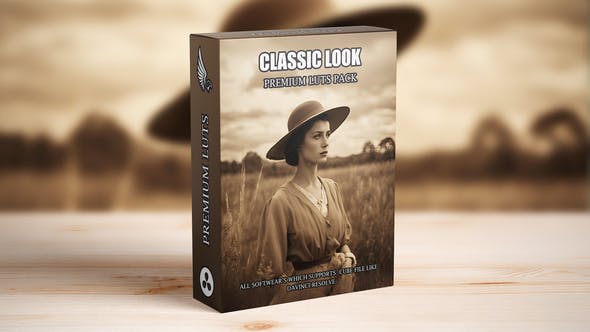 Videohive 53058659 Classic Vintage Retro Old Look LUTs Pack