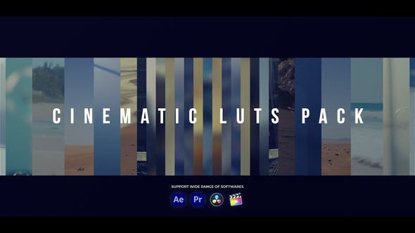 Videohive 53049993 Cinematic LUTs | Premiere Pro