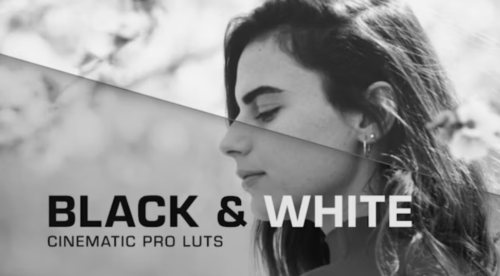 Black White Cinema LUTs