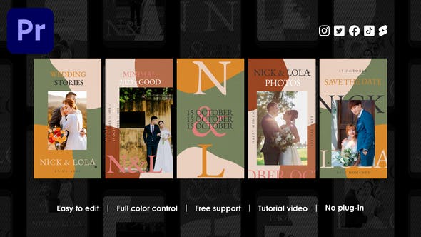 Videohive 48542700 Wedding Instagram Reels