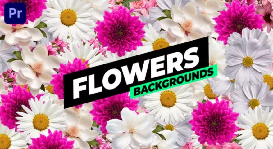 Videohive 53769761 Flowers Backgrounds