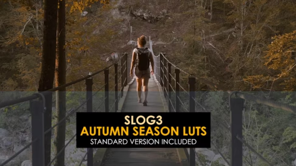 Slog3 Autumn Season LUTs: Enhance Your Autumn Videos with GFXHive