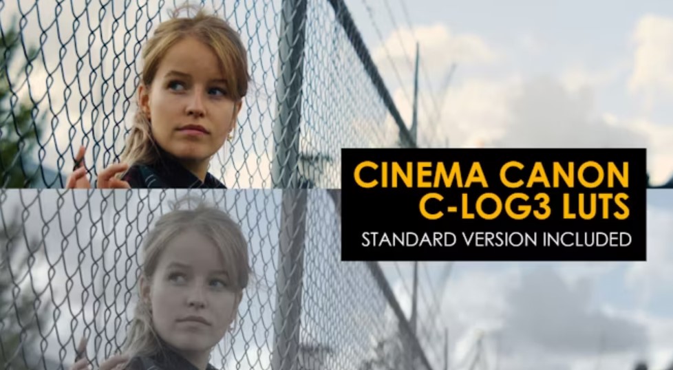 Cinema Canon C-Log3 and Standard LUTs