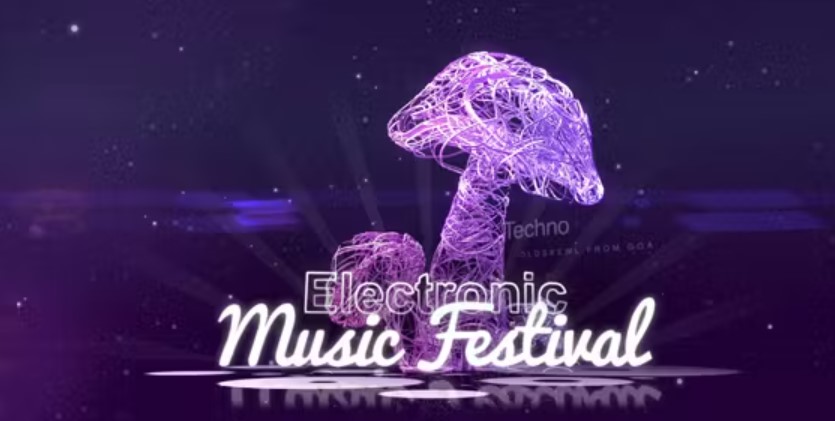 Videohive 19486026 Electronic Music Festival