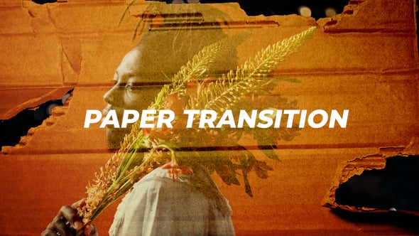 Videohive 54578991 Paper Transition