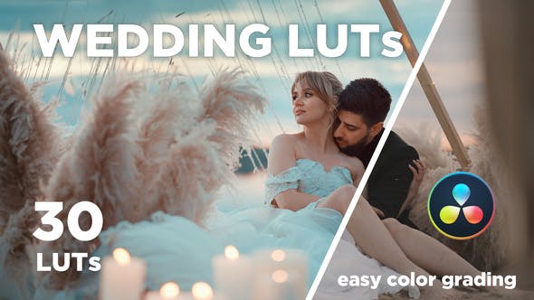 Videohive 48474820: 30 WEDDING LUTs for Exquisite Video Edits