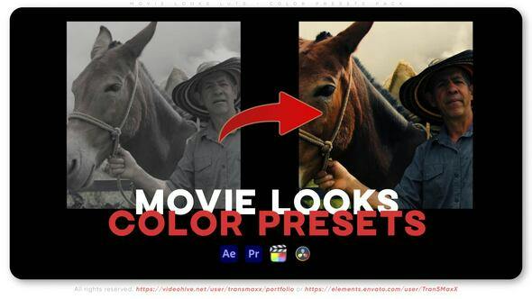 Videohive 50533830 Movie Looks LUTs – Color Presets Pack