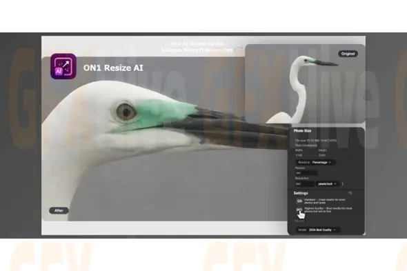 ON1 Resize AI 2026 20.0.0.17231 (Win)