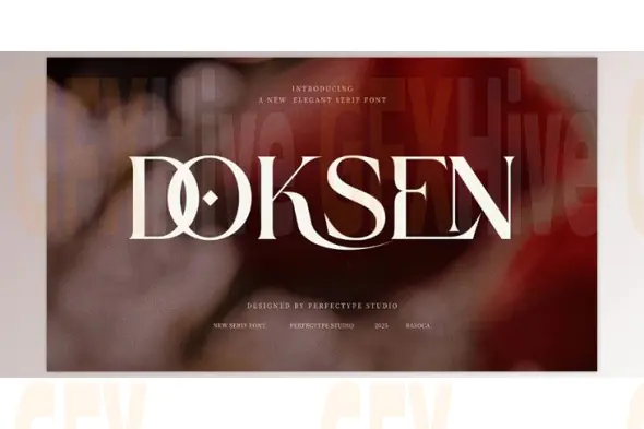 Doksen Elegant Serif Font (Creative Market 291569661)