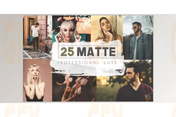 25 Matte LUTs and Presets Pack (Creative Market 291338591)
