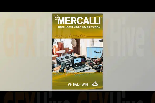 proDAD - Mercalli V6 SAL 6.0.632.1 (Win)