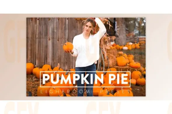 FilterGrade - PUMPKIN PIE Lightroom Mobile and Desktop Presets