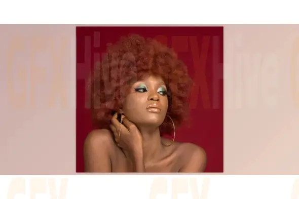 Cobalt-Image - Elite Niche B&W for Adobe