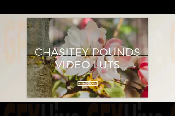 Filtergrade - Chasitey Pounds Video LUTs
