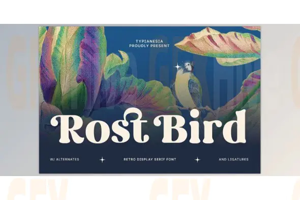 Rost Bird - Soft Retro Display Serif Font (Creative Market 291715371)