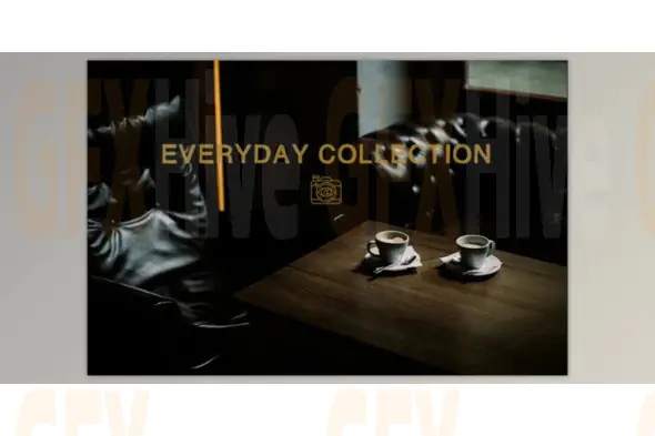 Vivid Presets - Everyday Presets Collection