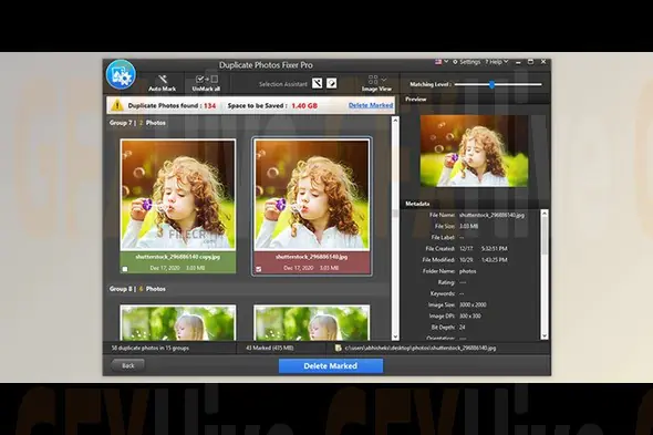 Duplicate Photos Fixer Pro v1.3.1086.2815 (Windows, Mac v9.5)