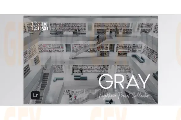 10 Grayscale Lightroom Presets (Creative Market 291245944)